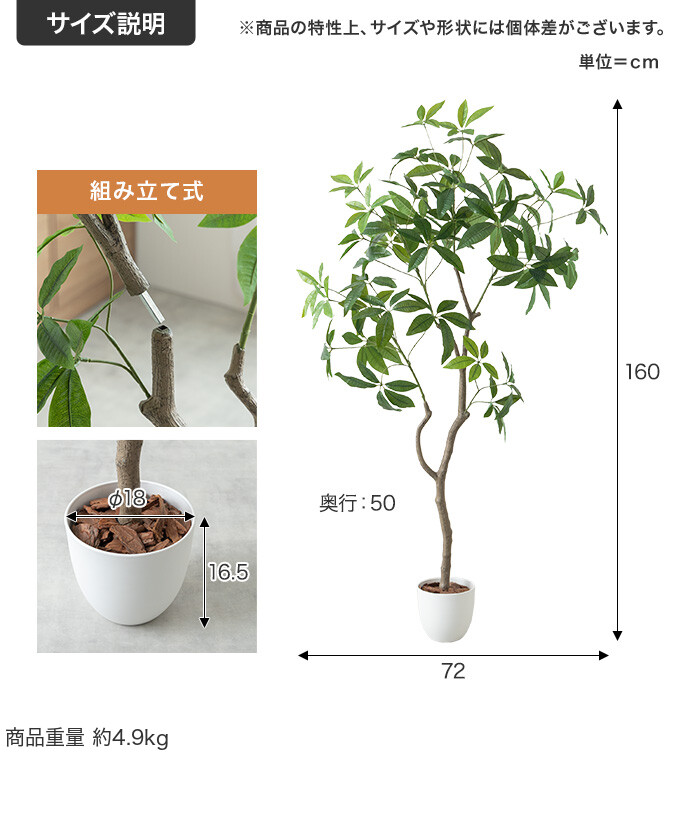サイズ説明