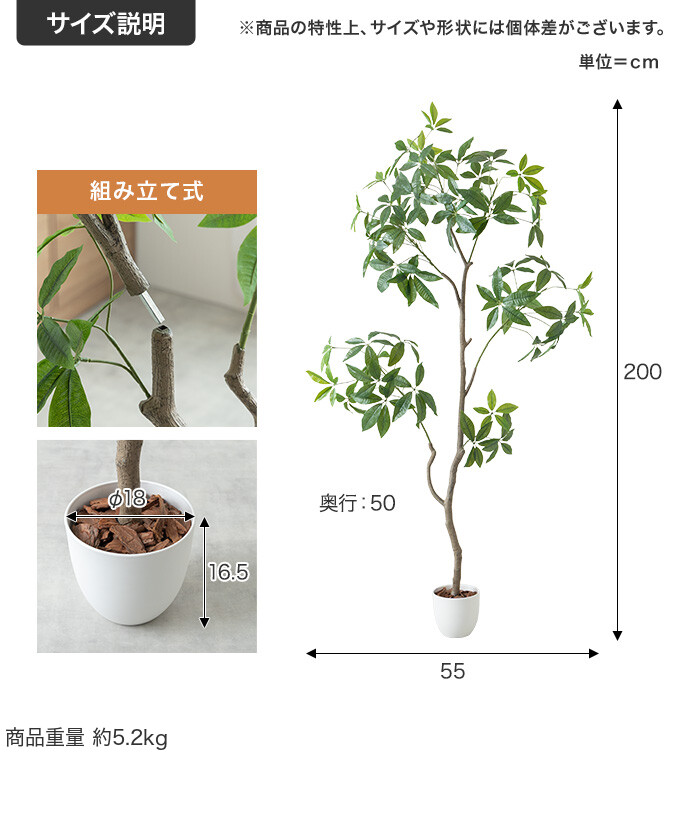 サイズ説明