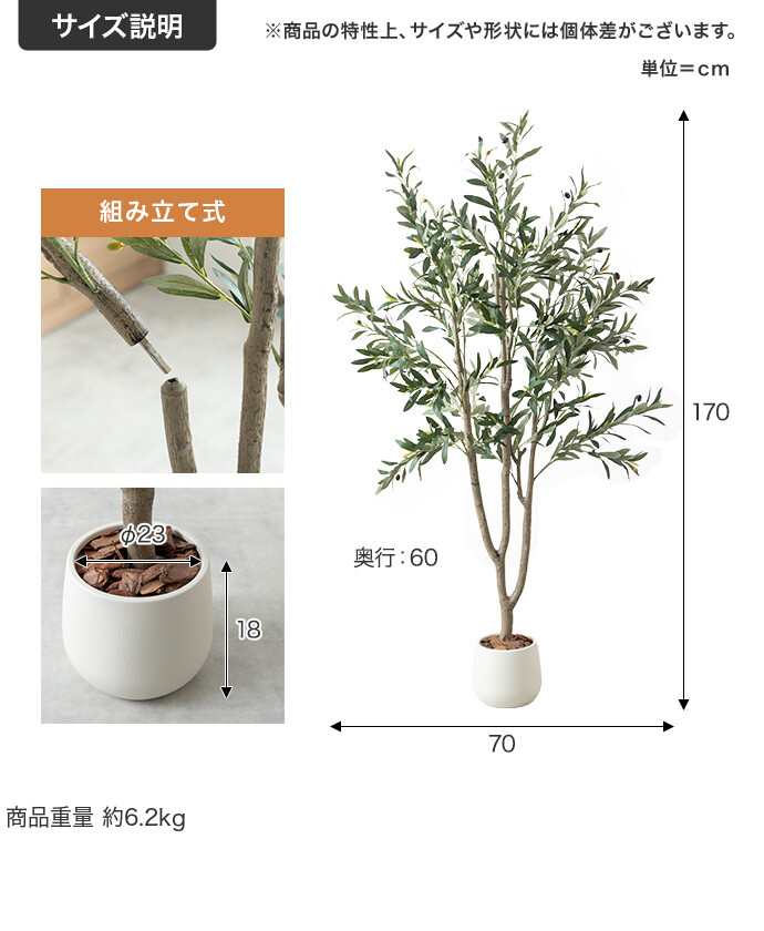 サイズ説明