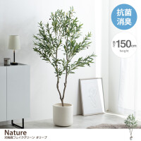 【高さ150cm】Nature 光触媒人工観葉植物 オリーブ