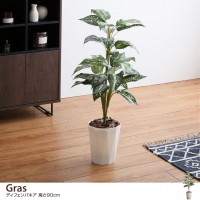 【高さ90cm】 Gras ディフェンバキア
