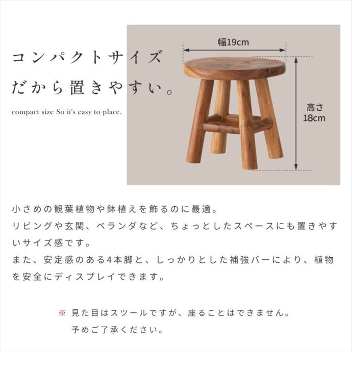 画像-5