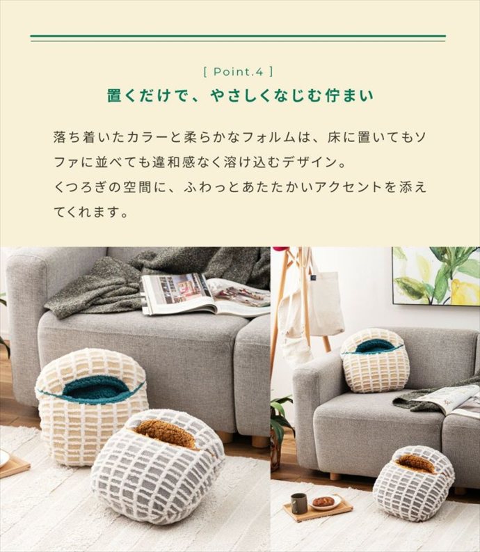 画像-6