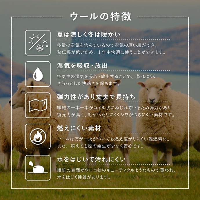 画像-5