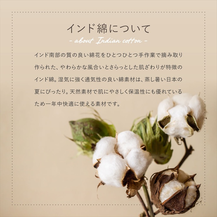 画像-3