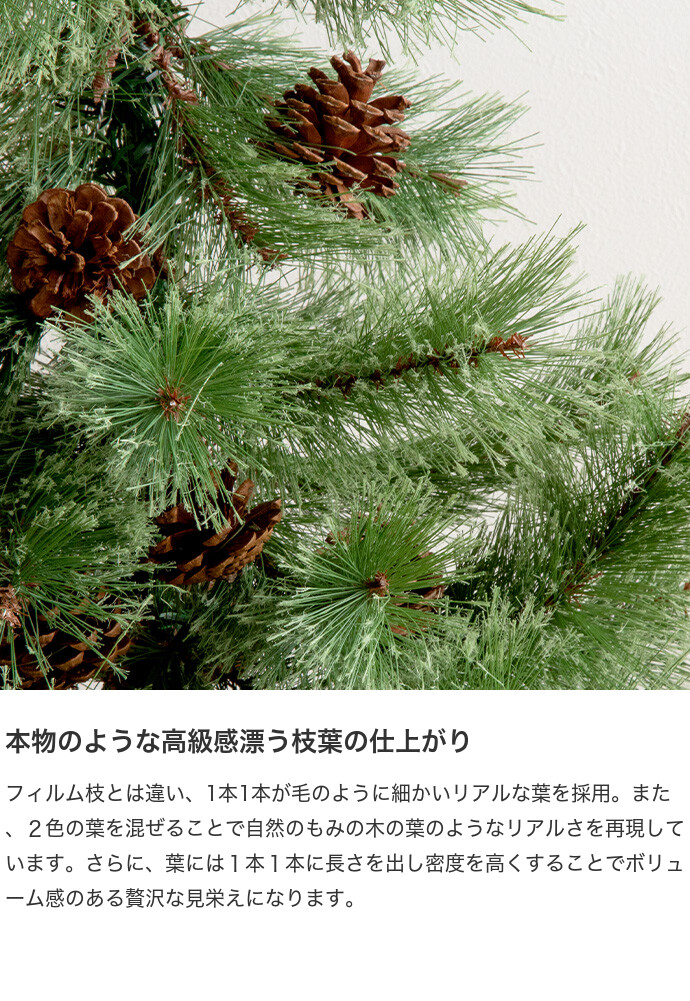 画像-3