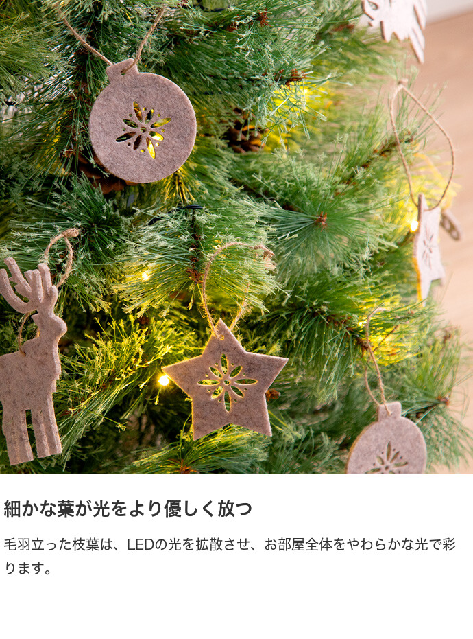 画像-4