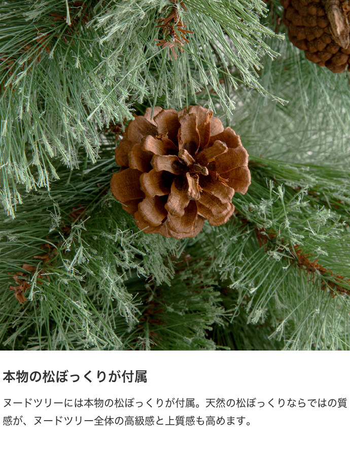 画像-8