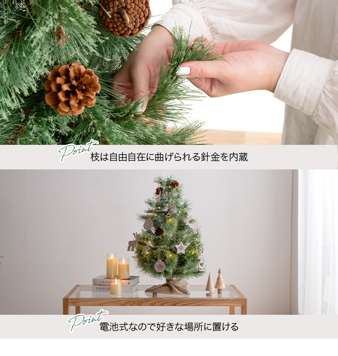 画像-12