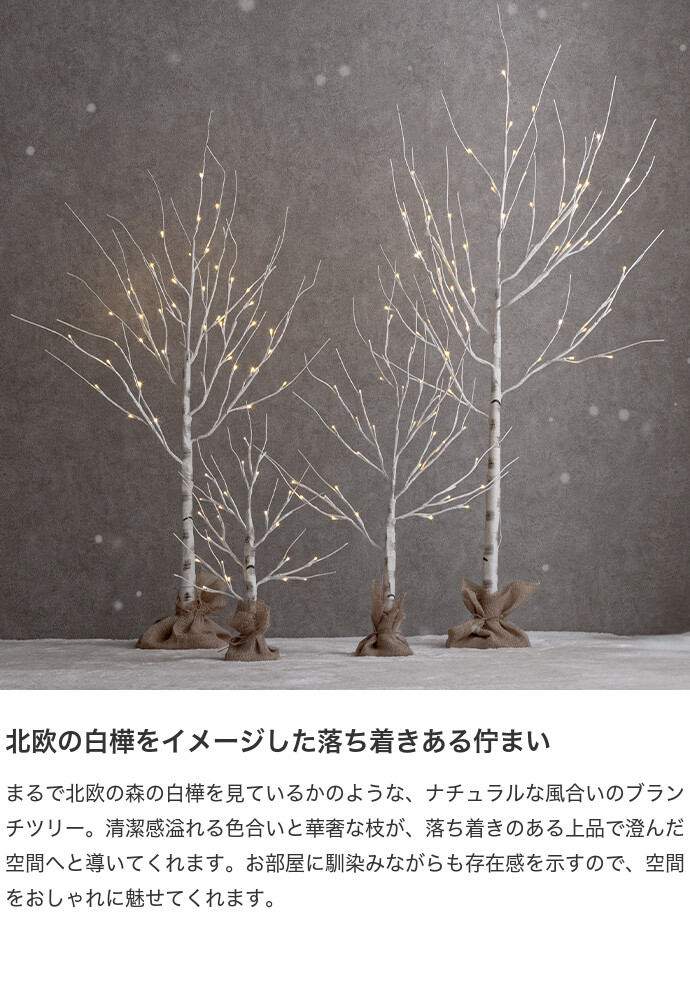 画像-3