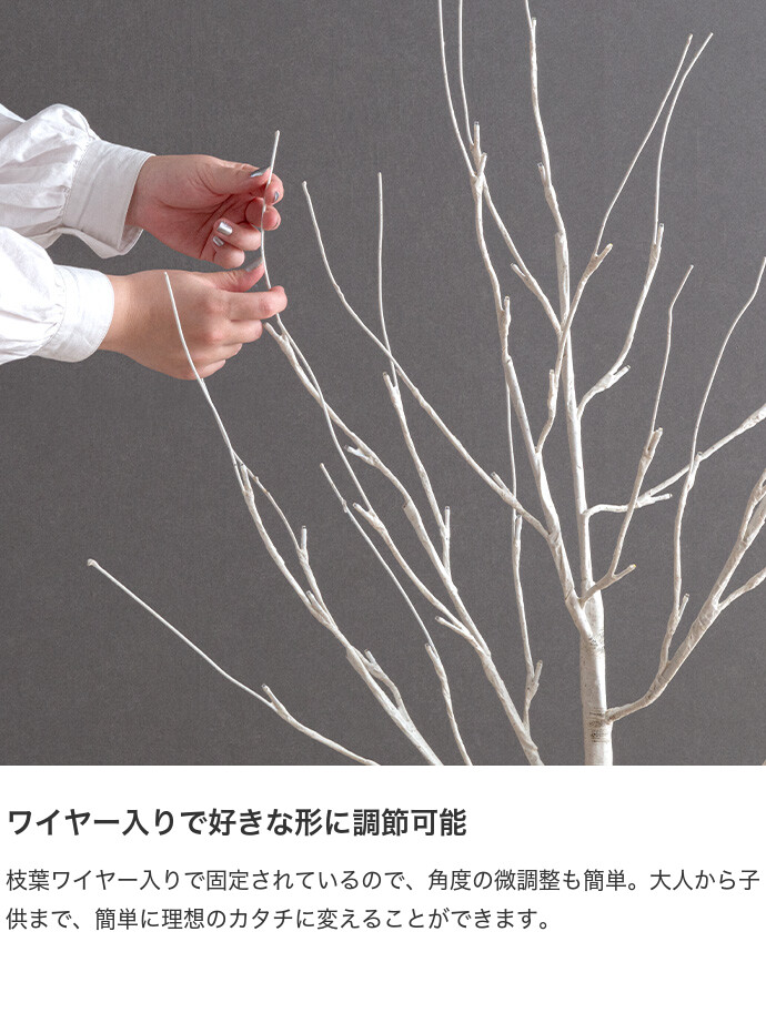 画像-9