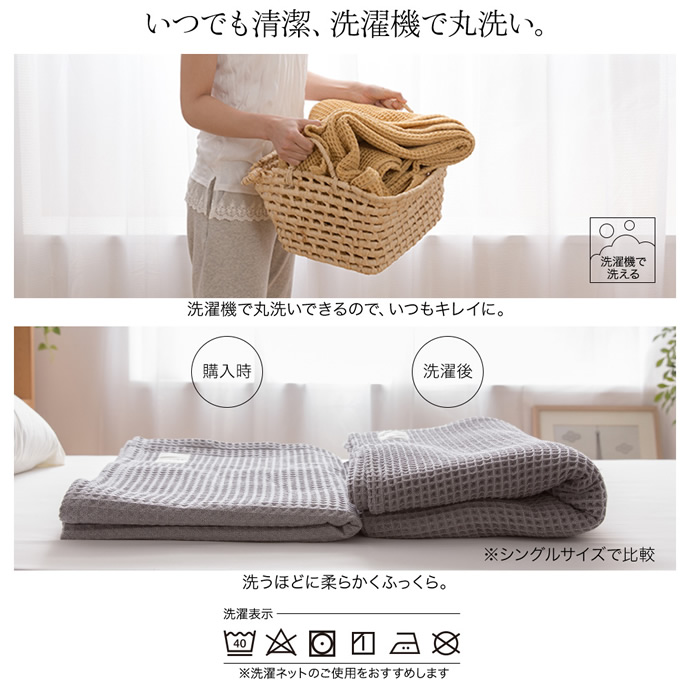画像-6