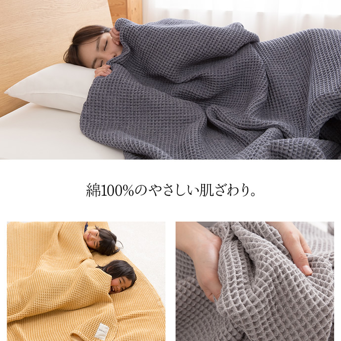 画像-4