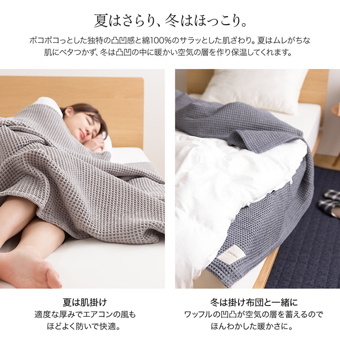 画像-5