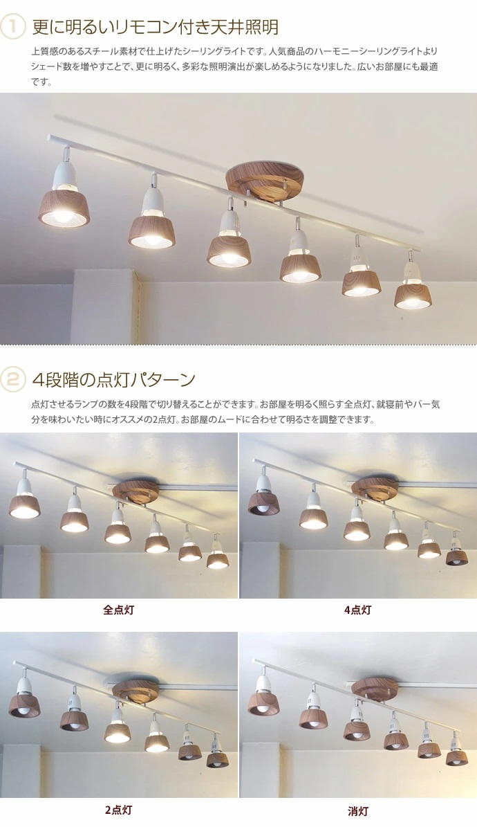 g3131]Harmony 6 remote ceiling lamp (白熱球付属) シーリングライト