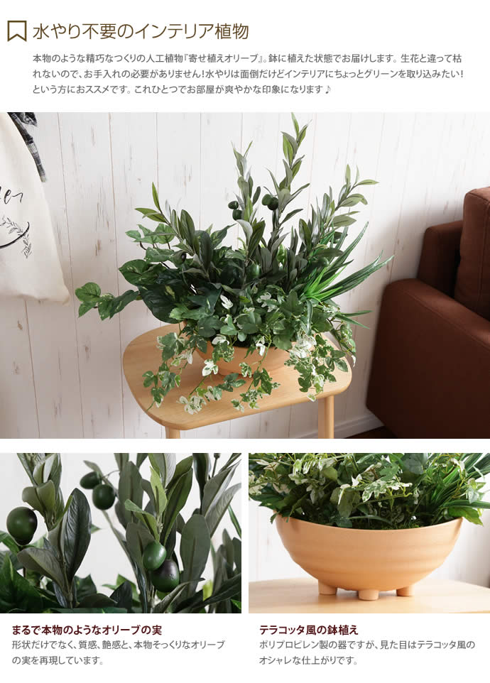 G Olive Planting 光触媒人工植物 寄せ植えオリーブ 観葉植物 家具 インテリア通販は家具350 公式