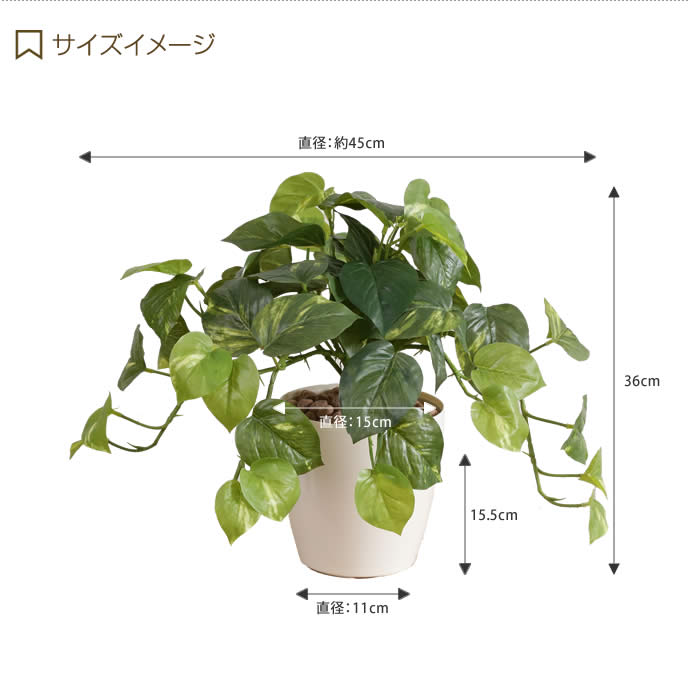 g46043]Fresh Pothos 光触媒人工植物 フレッシュポトス M 観葉植物