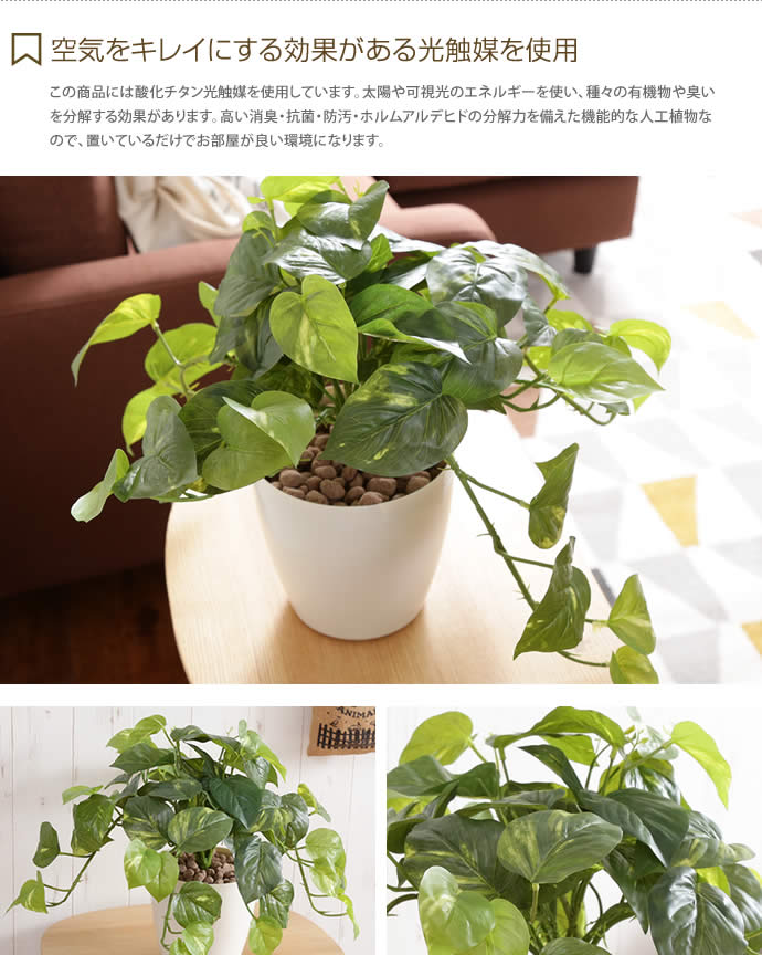 g46043]Fresh Pothos 光触媒人工植物 フレッシュポトス M 観葉植物