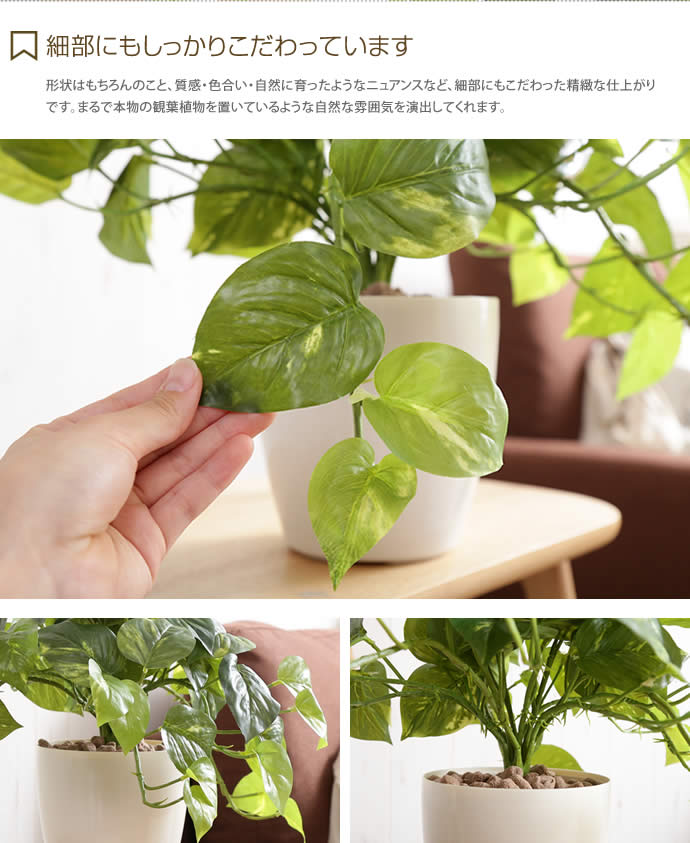 g46043]Fresh Pothos 光触媒人工植物 フレッシュポトス M 観葉植物