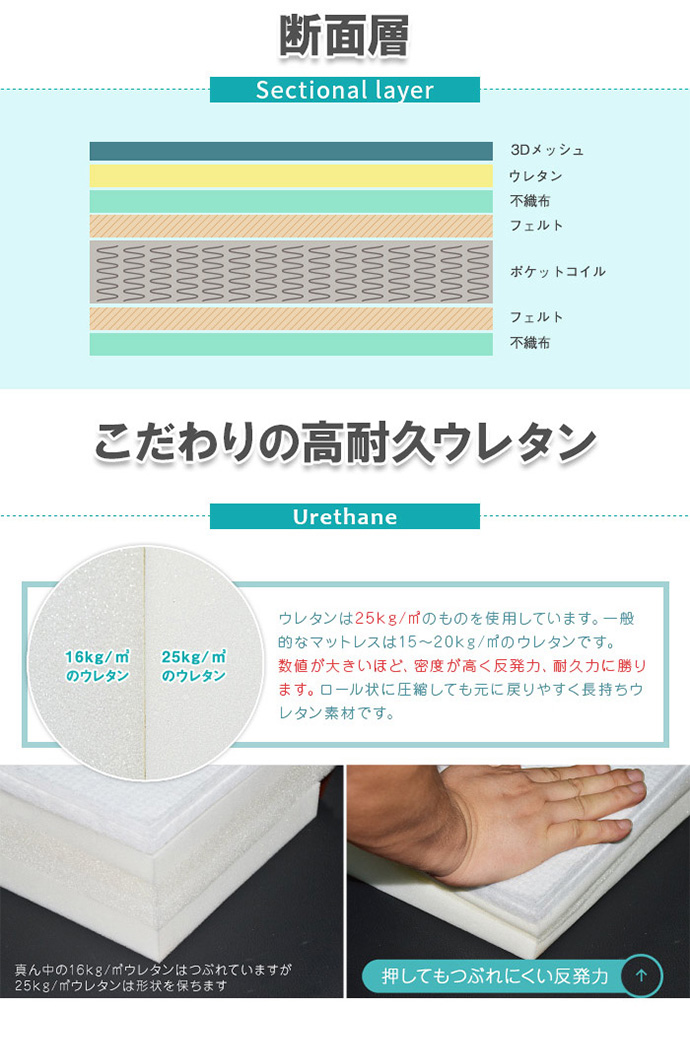 画像-13