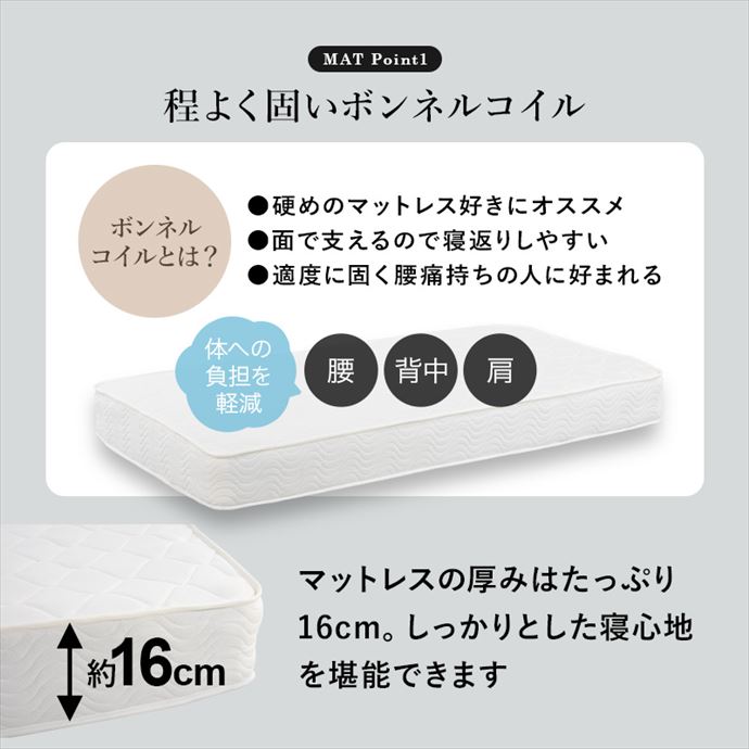 画像-12