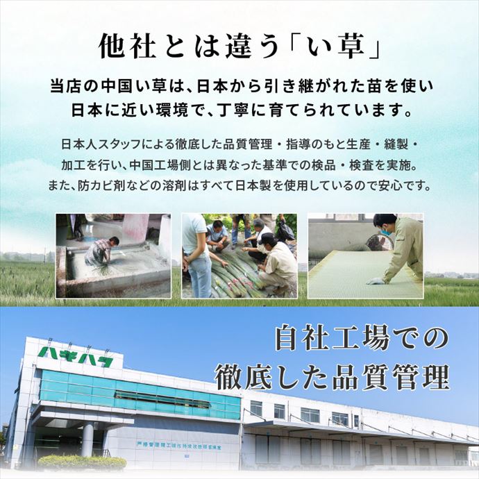 画像-12
