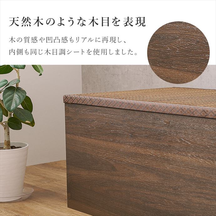 画像-4