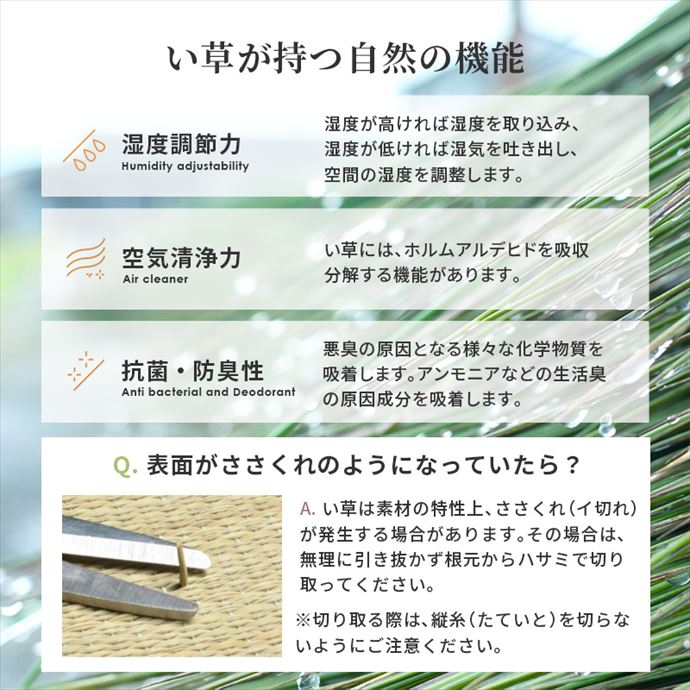 画像-11