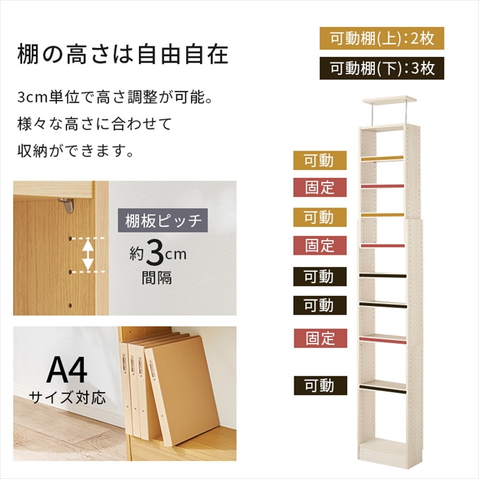 画像-12