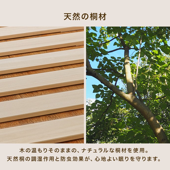 画像-10