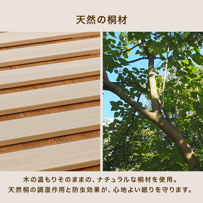 画像-10