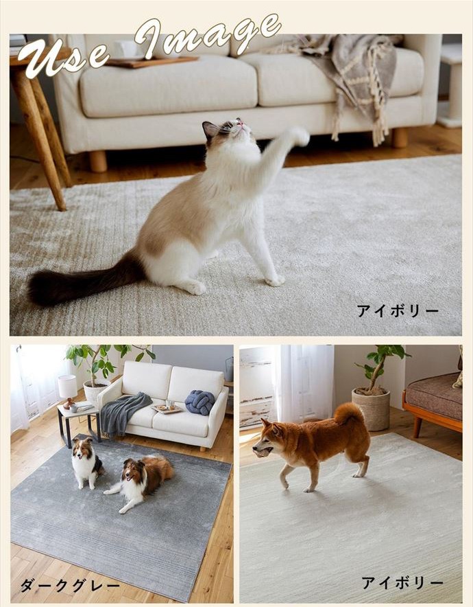 画像-15