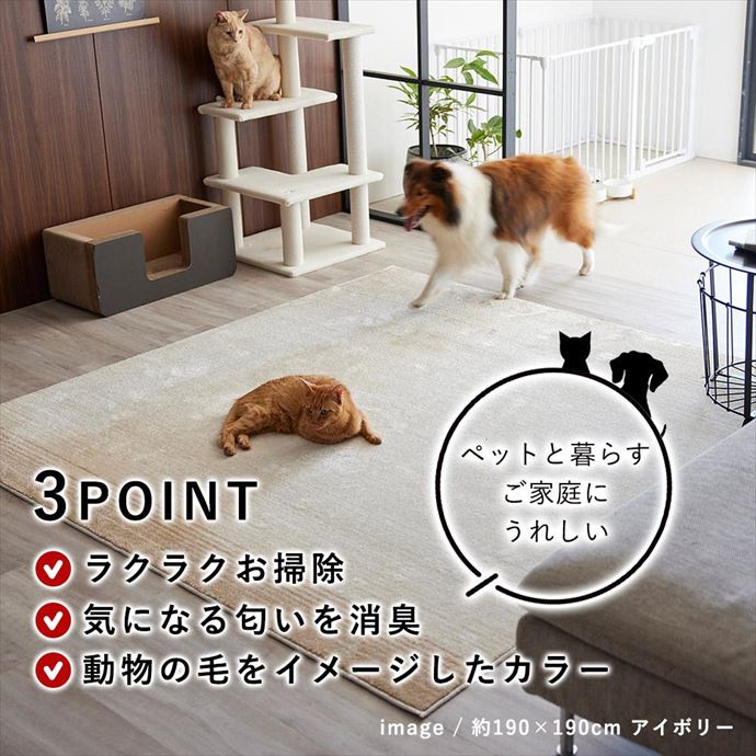 画像-2
