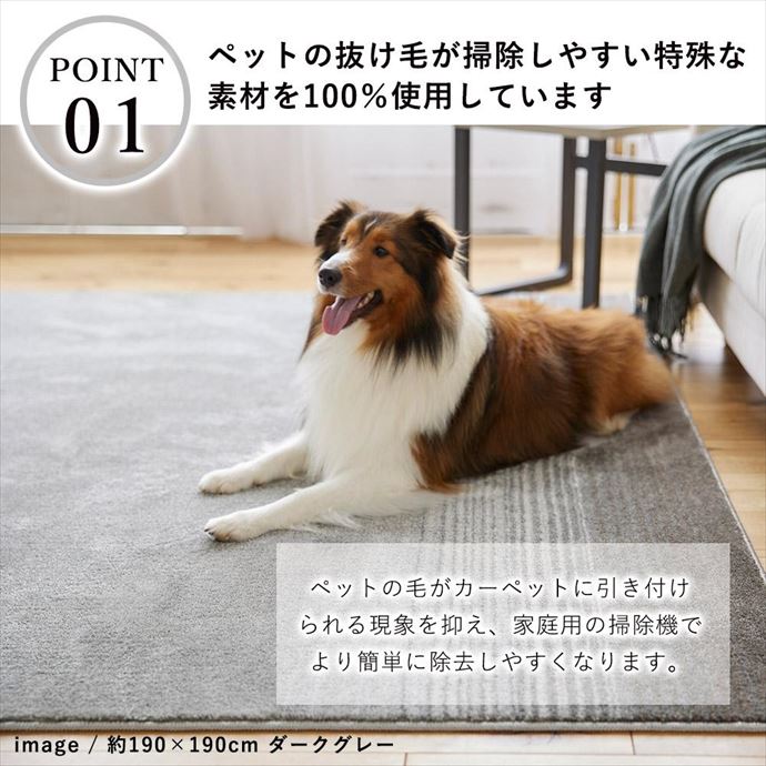 画像-3
