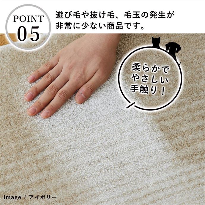 画像-7