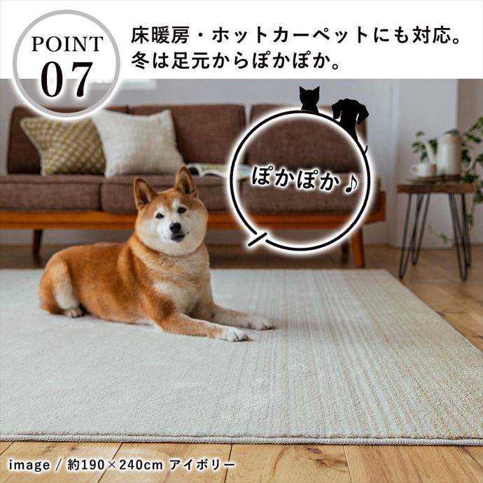 画像-9
