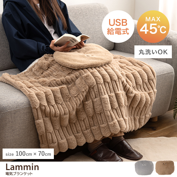 【100cm×70cm】Lammin 電気ブランケット