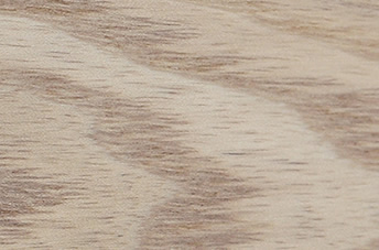 画像ギャラリー-5