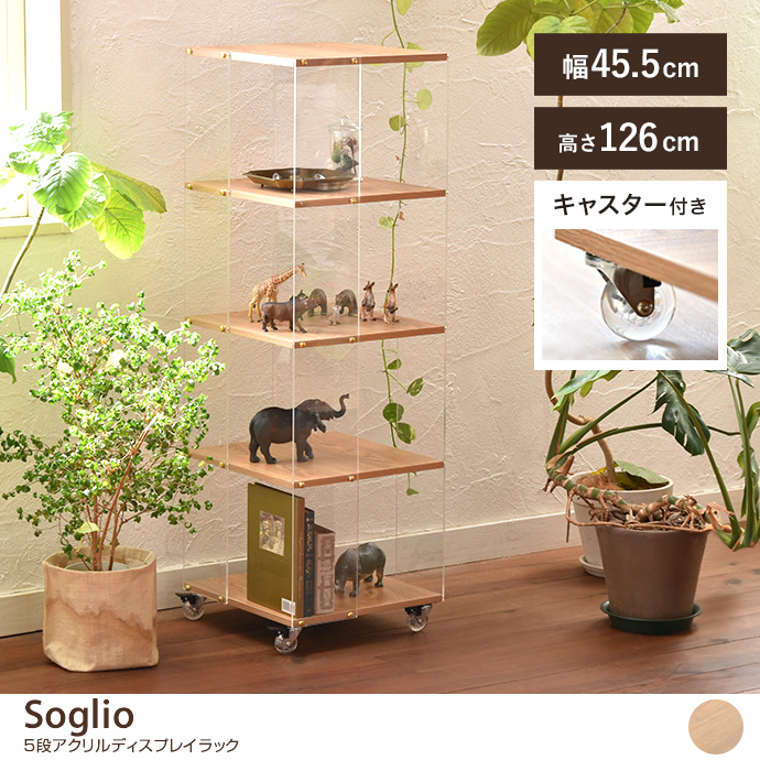 5段アクリルディスプレイラック