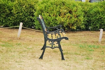 画像ギャラリー-5