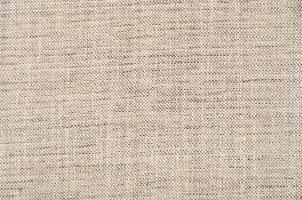 画像ギャラリー-6