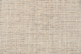 画像ギャラリー-6