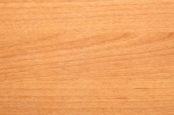 画像ギャラリー-2