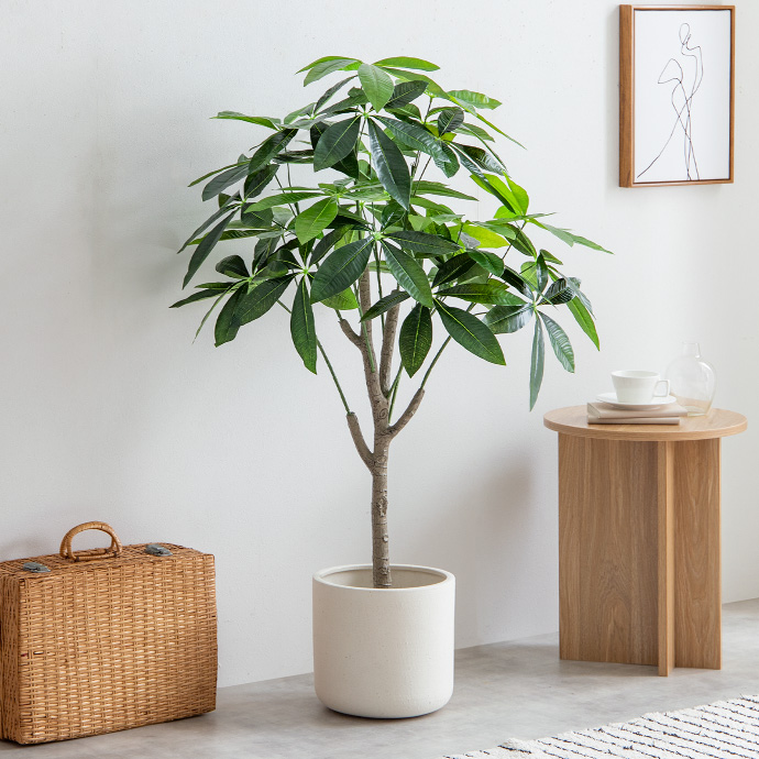 【高さ120cm】Nature 光触媒人工観葉植物 パキラ