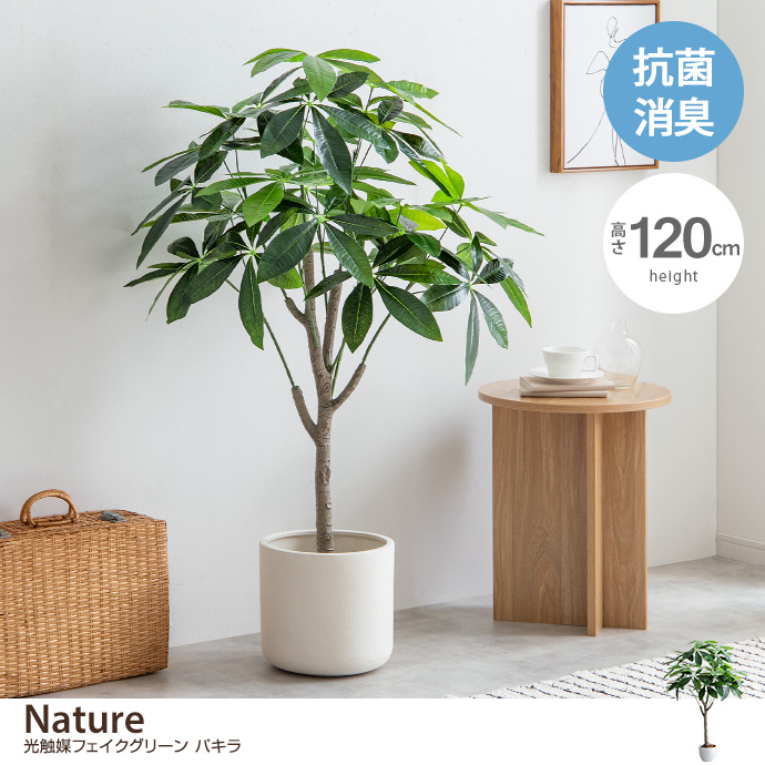 g162001]【高さ90cm】Nature 光触媒人工観葉植物 パキラ 観葉植物