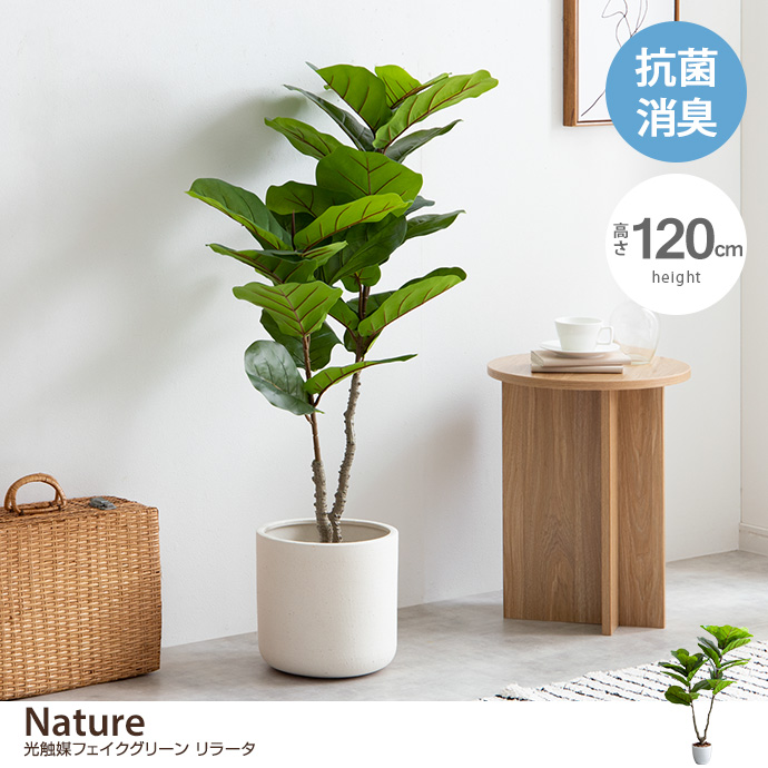 g162009]【高さ120cm】Nature 光触媒人工観葉植物 ベンジャミン 観葉 ...