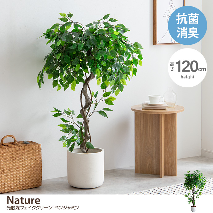 g162009]【高さ120cm】Nature 光触媒人工観葉植物 ベンジャミン 観葉 ...