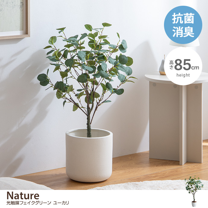 g162007]【高さ120cm】Nature 光触媒人工観葉植物 パキラ 観葉植物