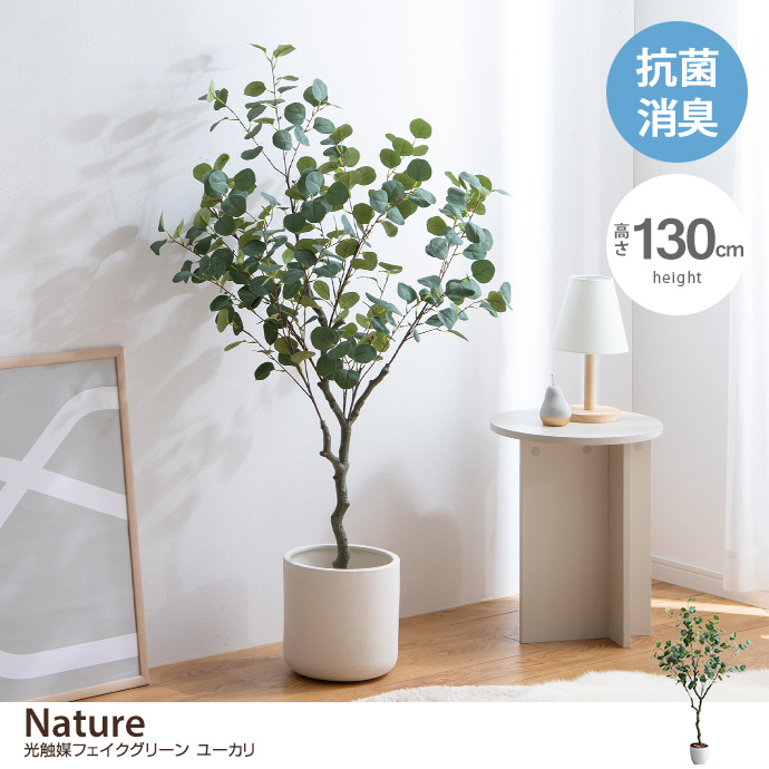 g162011]【高さ130cm】Nature 光触媒人工観葉植物 ユーカリ 観葉