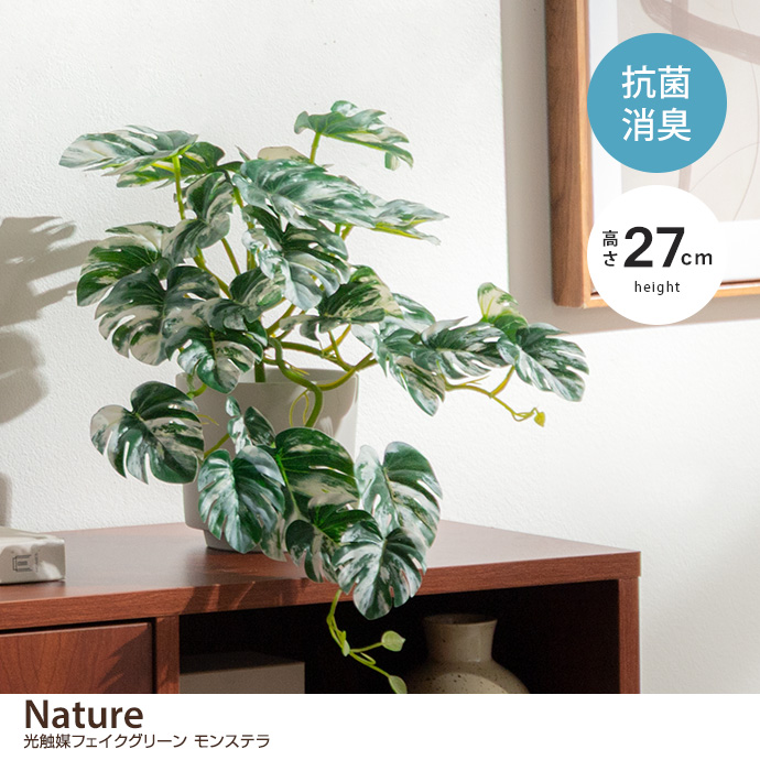 【高さ27cm】光触媒人工観葉植物　モンステラ